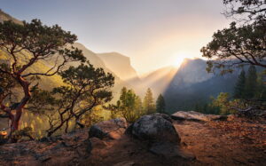 Yosemites Secret Wallmural ( 450 x 280 cm) - Image 3