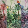 Amazon Parrot Wallmural – A315 - Image 2