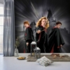 HARRY POTTER HERMIONE’S SPELL