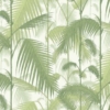 Palm Green