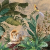 Amazon Lion King Wallmural – A310 - Image 4