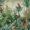 Amazon Parrot Wallmural – A315 - Image 4