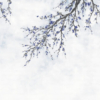Flowers Pattern Mural – Blue | FJ302-2 - Image 2