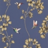 AMAZILIA - Image 2