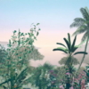 Matin Wallmural ( 500 x 280 cm) - Image 2