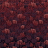 Tulipe Wallmural ( 400 x 280 cm) - Image 2