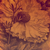 Harvest Wallmural (200 x 280) - Image 2
