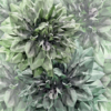 Emerald Flowers Wallmural (300 x 280) - Image 2