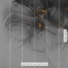 Ink Gold Flow Wallmural (300 x 280) - Image 3
