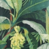 La Palma Wallpaper - Image 6