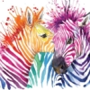 The Colourful Zebras Wallpaper - Image 2