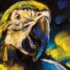 The Parrot M807 - Image 2