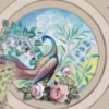 Peacock Garden - Image 2