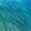 Blaupause Wallmural ( 400 x 250 cm) - Image 2