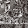 Underworld Wallmural – Premium - Image 2