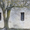 Under The Tree Wallmural – Premium - Image 2