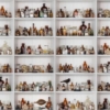 Cabinet of Curios Mural – Premium - Image 2