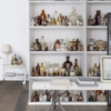 Cabinet of Curios Mural – Premium - Image 3
