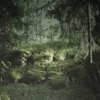 Virgin Forest Wallmural – Premium - Image 2