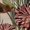 Vigor Wallmural – Premium - Image 4