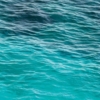 Dreambay Wallmural ( 200 x 280 cm) - Image 4