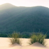 Vivid Dunes Wallmural ( 200 x 280 cm) - Image 6