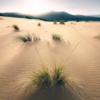 Vivid Dunes Wallmural ( 200 x 280 cm) - Image 2