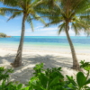 Palmy Beach Wallmural ( 200 x 280 cm) - Image 2