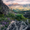 Flowering Tales Wallmural ( 200 x 280 cm) - Image 2
