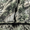 Das Model Wallmural ( 250 x 280 cm) - Image 4