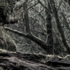Das Model Wallmural ( 250 x 280 cm) - Image 5