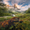 Last Paradise Wallmural ( 400 x 280 cm) - Image 2