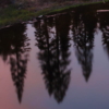 Between the Light Wallmural ( 450 x 280 cm) - Image 5