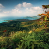 Heavens Balcony Wallmural ( 450 x 280 cm) - Image 2