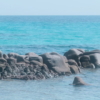 Mediterrane Träume Wallmural ( 450 x 280 cm) - Image 6