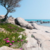 Mediterrane Träume Wallmural ( 450 x 280 cm) - Image 2