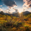 Norwegische Herbstwelten Wallmural ( 450 x 280 cm) - Image 2