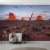 Wild West Arizona Wallmural ( 450 x 280 cm)