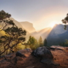 Yosemites Secret Wallmural ( 450 x 280 cm) - Image 2