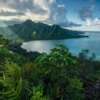 Jurassic Island Wallmural ( 450 x 280 cm) - Image 2