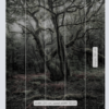 Das Model Wallmural ( 250 x 280 cm) - Image 3
