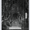 Forevenue Wallmural ( 250 x 280 cm) - Image 3