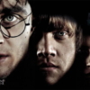 HARRY POTTER CLOSEUP WALLMURAL - Image 2