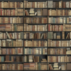 Bookshelf Mural – Black and Brown - Image 2