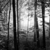 Early Morning Mural – B&W - Image 2
