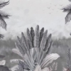 Tropical Trees and Bird Mural – BW - Image 2