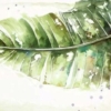 Big Green Leaf Wallmural - Image 2