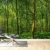 Emerald Green Panorama Forest Mural