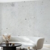 Hard Concrete Wall Mural - Image 3