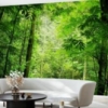 Steamy Forest Mural